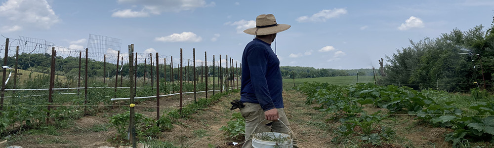 Chef Coles after a long day weeding and harvesting the garden looks at his farm fresh produce and hard farmer work.