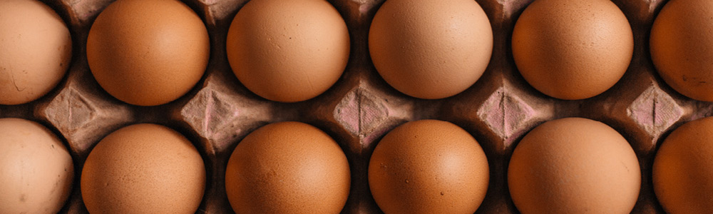 Farm fresh eggs grown free range used for catering and sold wholesale and to the public.